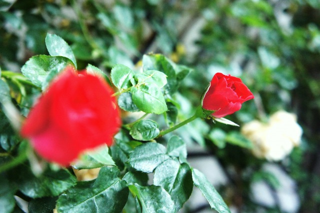 2011.05.30